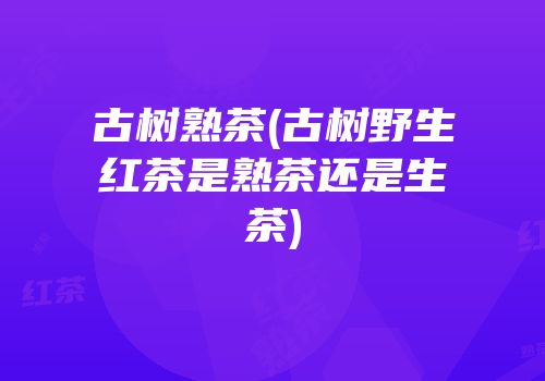 古树熟茶(古树野生红茶是熟茶还是生茶)