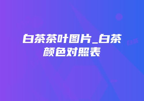 白茶茶叶图片_白茶颜色对照表