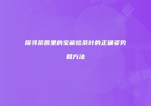 探寻茶园里的宝藏捡茶叶的正确姿势和方法