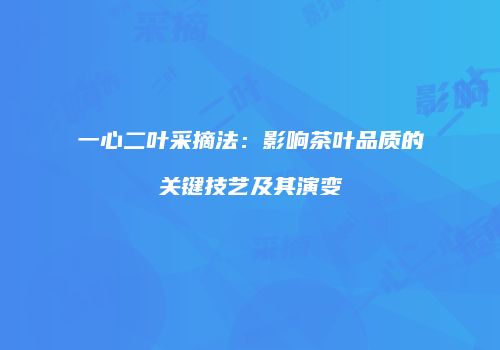 一心二叶采摘法：影响茶叶品质的关键技艺及其演变