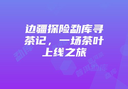 边疆探险勐库寻茶记，一场茶叶上线之旅