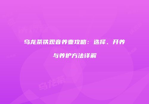 乌龙茶铁观音养壶攻略：选择、开养与养护方法详解