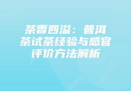 茶香四溢：普洱茶试茶经验与感官评价方法解析