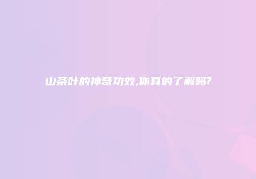 山茶叶的神奇功效,你真的了解吗?