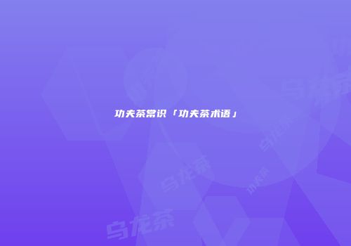 功夫茶常识「功夫茶术语」
