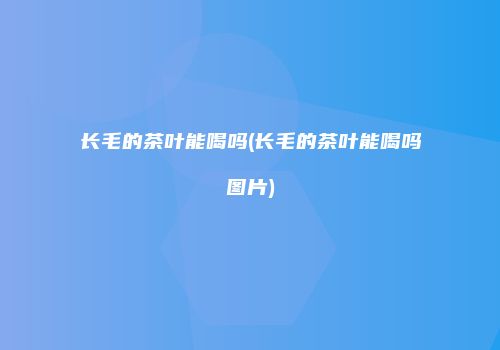 长毛的茶叶能喝吗(长毛的茶叶能喝吗图片)