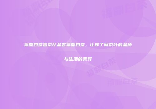 福鼎白茶置茶比品尝福鼎白茶，让你了解茶叶的品质与生活的美好