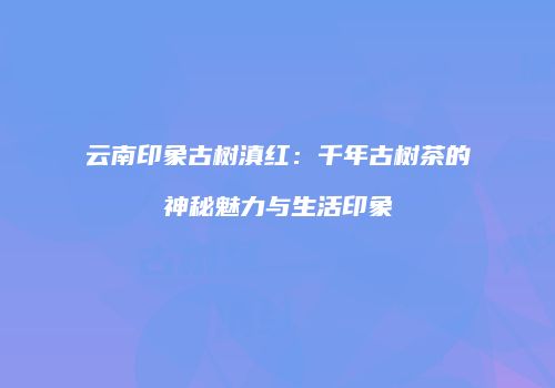 云南印象古树滇红：千年古树茶的神秘魅力与生活印象