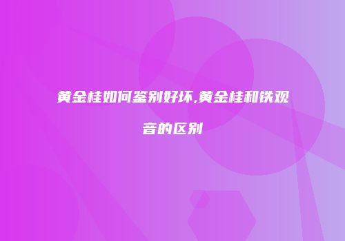 黄金桂如何鉴别好坏,黄金桂和铁观音的区别
