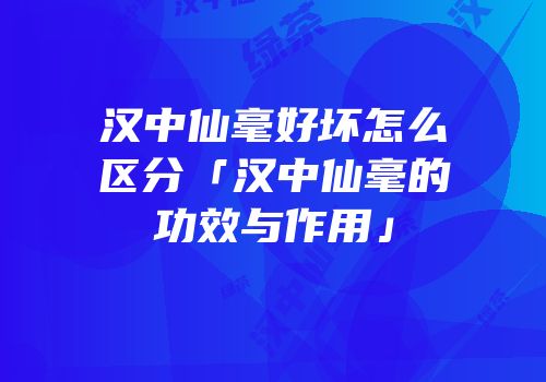 汉中仙毫好坏怎么区分「汉中仙毫的功效与作用」