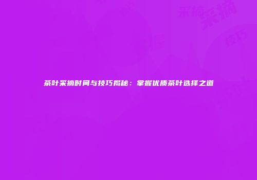茶叶采摘时间与技巧揭秘：掌握优质茶叶选择之道