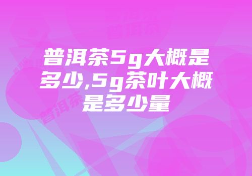 普洱茶5g大概是多少,5g茶叶大概是多少量