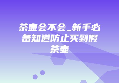 茶壶会不会_新手必备知道防止买到假茶壶