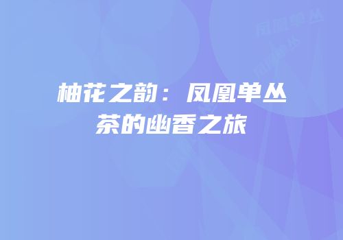 柚花之韵：凤凰单丛茶的幽香之旅