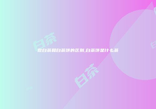 散白茶和白茶饼的区别,白茶饼是什么茶