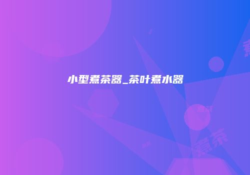 小型煮茶器_茶叶煮水器