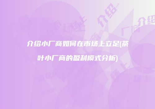 介绍小厂商如何在市场上立足(茶叶小厂商的盈利模式分析)