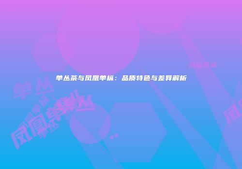 单丛茶与凤凰单枞：品质特色与差异解析