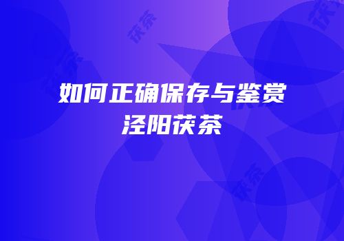 如何正确保存与鉴赏泾阳茯茶