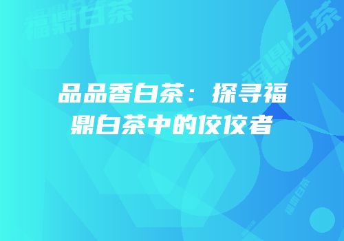 品品香白茶：探寻福鼎白茶中的佼佼者