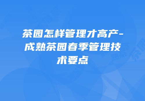 茶园怎样管理才高产-成熟茶园春季管理技术要点