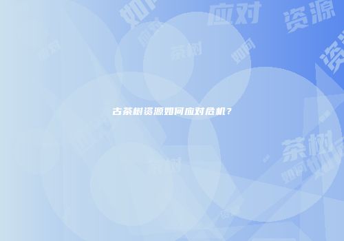 古茶树资源如何应对危机？