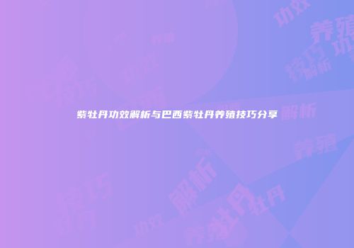 紫牡丹功效解析与巴西紫牡丹养殖技巧分享