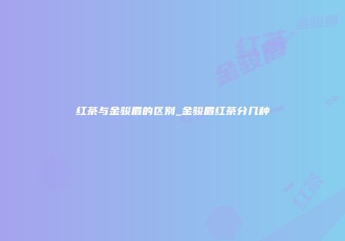 红茶与金骏眉的区别_金骏眉红茶分几种