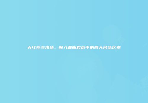 大红袍与水仙：深入解析岩茶中的两大名品区别