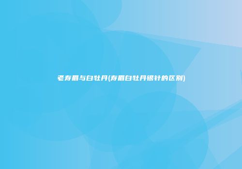 老寿眉与白牡丹(寿眉白牡丹银针的区别)