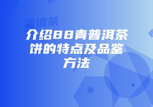 介绍88青普洱茶饼的特点及品鉴方法