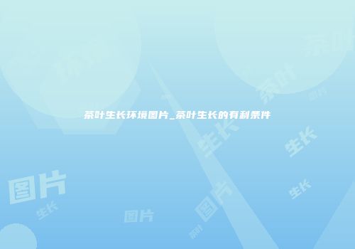 茶叶生长环境图片_茶叶生长的有利条件