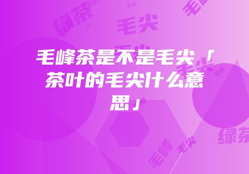 毛峰茶是不是毛尖「茶叶的毛尖什么意思」