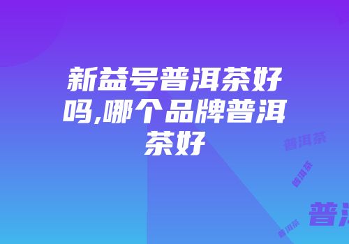 新益号普洱茶好吗,哪个品牌普洱茶好