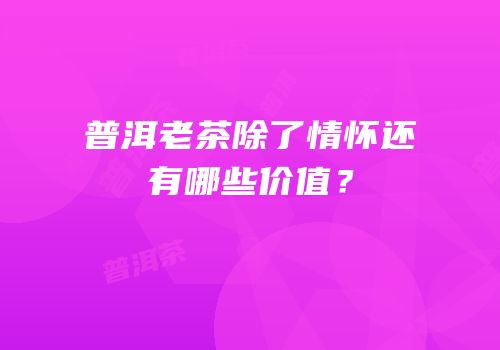 普洱老茶除了情怀还有哪些价值？