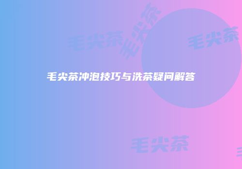 毛尖茶冲泡技巧与洗茶疑问解答