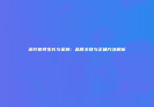 茶叶嫩芽生长与采摘：品质关键与正确方法解析