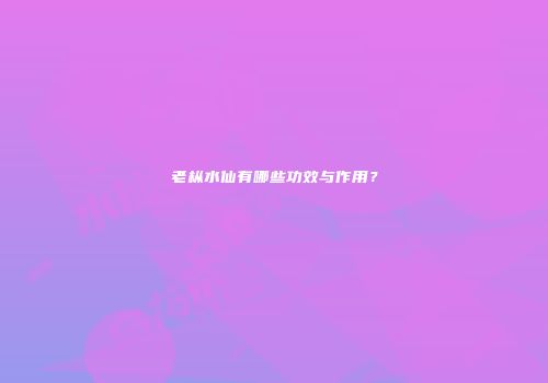 老枞水仙有哪些功效与作用？