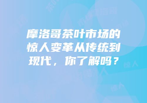 摩洛哥茶叶市场的惊人变革从传统到现代，你了解吗？