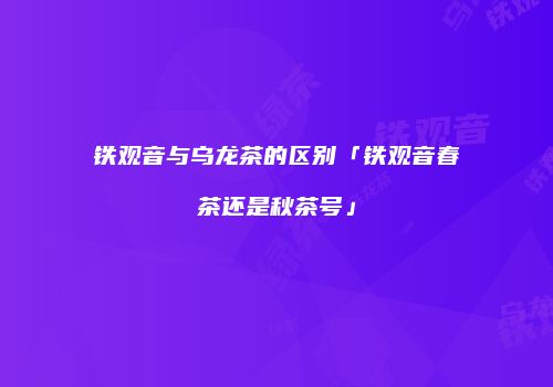 铁观音与乌龙茶的区别「铁观音春茶还是秋茶号」
