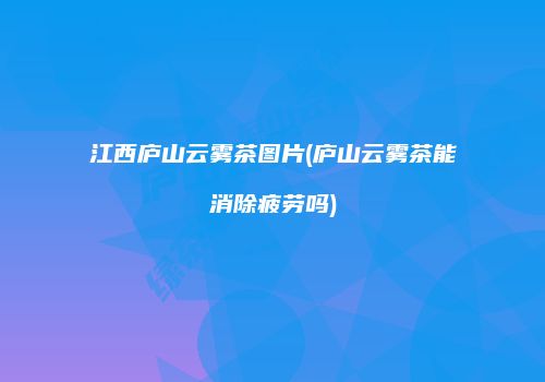 江西庐山云雾茶图片(庐山云雾茶能消除疲劳吗)