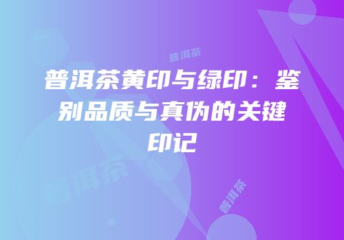 普洱茶黄印与绿印：鉴别品质与真伪的关键印记