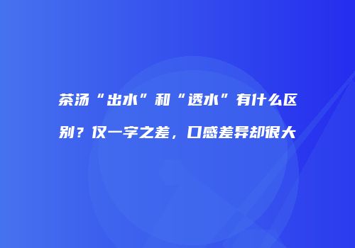 茶汤“出水”和“透水”有什么区别？仅一字之差，口感差异却很大