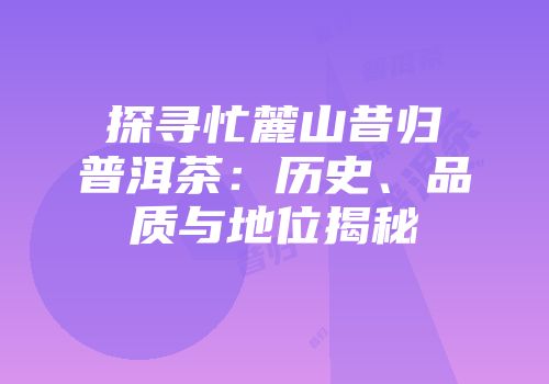 探寻忙麓山昔归普洱茶：历史、品质与地位揭秘