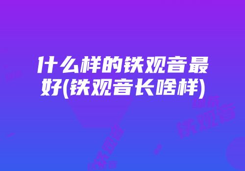什么样的铁观音最好(铁观音长啥样)
