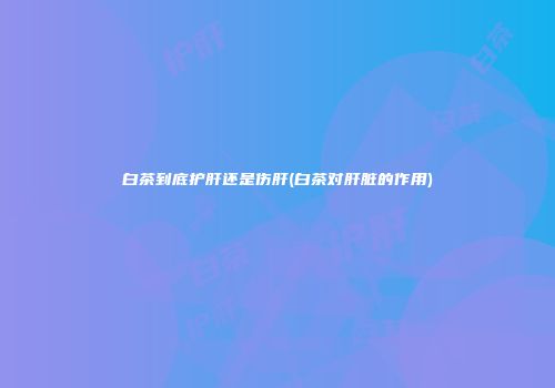 白茶到底护肝还是伤肝(白茶对肝脏的作用)