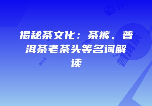 揭秘茶文化：茶裤、普洱茶老茶头等名词解读