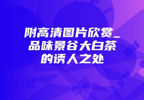 附高清图片欣赏_品味景谷大白茶的诱人之处