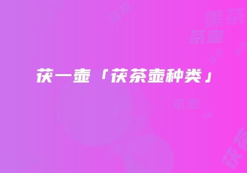 茯一壶「茯茶壶种类」