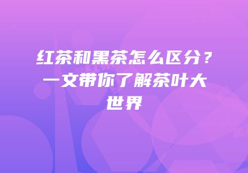 红茶和黑茶怎么区分？一文带你了解茶叶大世界